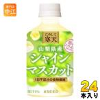 アシード ためして寒天 山梨県産 シャインマスカット味 270ml ペットボトル 24本入 ジュレ ゼリー 食物繊維