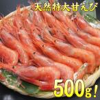 甘海老 甘えび 天然 甘エビ 特大3Lサイズ 1kg／約40尾前後入り (海鮮丼 甘海老) amaebi