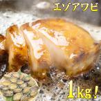 あわび エゾアワビ 殻付き 1kg 約18〜20個 送料無料 鮑 蝦夷あわび 冷凍 加熱用 バーベキュー ギフト プレゼント