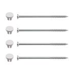 kak большой KAKUDAI 426-498 стиральная машина для водонепроницаемый хлеб установка винт * колпак комплект ( стоимость доставки классификация :A)