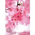 ~..~Vol.9 Sakura [DVD]