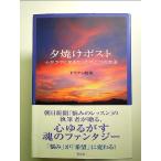 . выгорание post ~ сердце .lak стать всего лишь один. способ монография 