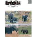  животное семья ~ Africa сборник ~ слон [DVD]{ б/у }