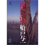 流沙の塔〈上〉 (単行本)