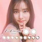 エバーカラー ワンデー ナチュラル 1箱20枚入 度あり 度なし 14.5mm 新木優子 UVカット カラコン ワンデー 人気 ランキング