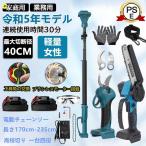 高枝切り 電動チェーンソー 剪定ハサミ 切断径30mm 電動 高枝切りバサミ 伸縮式延長ポールの長さ170cm-235cm 強力 木工切断