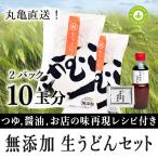 無添加★生うどんセット2パック(10玉分)★ つゆ&醤油、お店の味再現マニュアル付きセット
