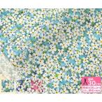 リバティプリント Petal Wish ペタルウィッシュ 20-36301105 20AT 20BT 20CT LIBERTY 2020SS from London with Love タナローン 生地 布