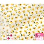 リバティプリント Harmony ハーモニー 20-36301125 20BT 20CT LIBERTY 2020SS from London with Love タナローン 生地 布