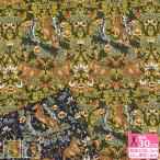 ショッピングシーチング 植物と馬 シーチング ホースシュー 馬蹄 馬 馬柄 ラッキーモチーフ 植物柄 フラワー 花柄 シーチング生地 生地 布 AP55103H-2 数量3(30cm)から10cm単位