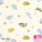 ショッピングダブルガーゼ てくてくダイナソー ダブルガーゼ 恐竜 恐竜柄 卵 タマゴ 足跡 スピノサウルス トリケラトプス プテラノドン生地 布 COCO2530-2 数量3(30cm)から10cm単位