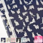  Liberty * ткань sMeowmyaouDC32576 VE WE XE YE ZE кошка кошка кошка рисунок кошка рисунок tana заем ткань ткань количество 3(30cm) из 10cm единица измерения 9967