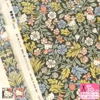  Liberty * ткань sOrchard Friendso- коричневый -do*f линзы DC33494 Hello Kitty 50th Anniversarytana заем ткань ткань количество 3(30cm) из 10cm единица измерения 0814