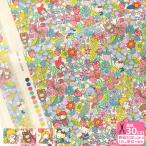 ショッピングリバティ リバティ・ファブリックス Fruit Grove フルーツ・グローブ DC33496 Hello Kitty 50th Anniversary タナローン 生地 布 数量3(30cm)から10cm単位 0814