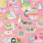 ショッピングローン 22fabric クックキャッツ コットンローン 60ローン ローン 動物柄 猫柄 ネコ柄 薄手 ローン生地生地 布 DP-4440-8 数量3(30cm)から10cm単位 9346