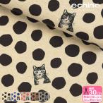 echino NekoNoe CAT ドット 綿麻キャンバス 2025 猫 猫柄 ネコ ネコ柄 キャット 水玉模様 ドット エチノ 生地 布 EYX-91000-100 数量3(30cm)から10cm単位