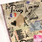 エッフェル塔 ポリエステルオックス デジタルプリント リアルプリント ポリエステル 撥水効果 フランス国旗 生地 布 HS2282 HS2260 数量3(30cm)から10cm単位