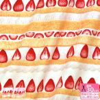 ストロベリーケーキ �