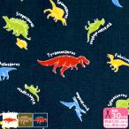 ショッピング恐竜 キッズランド ゆるかわ恐竜 CBプリント 恐竜 ティラノサウルス プテラノドン トリケラトプス 恐竜柄生地 布 SP2611H 数量3(30cm)から10cm単位 8925