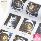  ламинирование Space Cat кошка рисунок кошка кошка рисунок кошка ........ рисунок космос космонавт ламинирование ткань винил покрытие ткань ткань количество 3(30cm) из 10cm единица измерения 