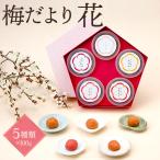 梅干し ギフト 紀州南高梅 梅だより 花 100g×5 詰合せ セット 贈り物 お返し 贈答 プレゼント 中田食品