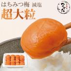 梅干し はちみつ梅 減塩 超大粒 550g 塩分3% 紀州南高梅 完熟 お試し 和歌山 国産 中田食品 自宅 ご家庭用 数量限定