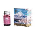 寺西化学　ギター 万�