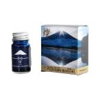 寺西化学　ギター 万�