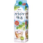 メルシャン かろやか梅酒 2Lパック