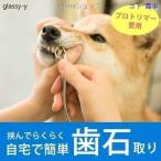 愛犬・愛猫用 歯石取り ペンチ 犬 