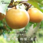  мужчина олень груша ... производство [ юг вода ]12 штук входит | примерно 5kg