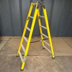 FRP-SL21S стремянка специальный FRP производства pika[ б/у ]