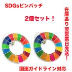 SDGs ピンバッチ　国連ガイドライン対応　バッヂ　バッジ　17の目標  2個セット