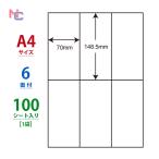 C6i(L) ラベルシール 1袋 100シール A4 6面 70×148.5mm マルチタイプラベル ナナコピー ナナラベル 東洋印刷 nana C6i