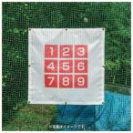  бейсбол тренировка для Target занавес сетка занавес 