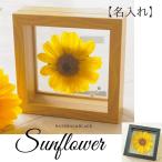 ショッピングプリザーブドフラワー 名入れ ひまわり プリザーブドフラワー sunflower フラワーギフト 向日葵 フラワーギフト 誕生石のモチーフクリスタルアクセサリー付き