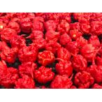 kyarolaina Lee pa- ультра . красный острый перец мир один .. красный острый перец ультра . 7 море .. местного производства самый высокое качество рефрижератор 50 шт 