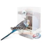  посуда товары для кухни bird механизм подачи приманка inserting птица кухонная утварь автоматика маленькая птица столик для птиц длиннохвостый попугай автокормушка .. средний . автоматика поилка попугай вода inserting .. inserting .... новый жизнь 
