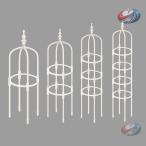  роза для обелиск садоводство Mini обелиск растения фигурная скобка .. средний . утро лицо роза мини помидоры ivy. ... легкий в использовании атмосферостойкий сад фигурная скобка 