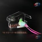  bird механизм подачи окно присоска тип прозрачный акрил производства дикая птица столик для птиц .. средний . остановка место имеется вода inserting кормушка приманка место маленькая птица голубь дикая птица наблюдение стильный сад постановка .