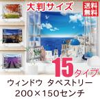 タペストリー 窓から見える風景 特大 全15種類 200×150センチ インテリア 壁装飾 おしゃれ 撮影ビーチ 海 花 夜景