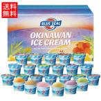 ショッピングアイスクリーム ブルーシールアイス ギフト24　110ml×24個入（直送便）（送料無料）　/沖縄 アイスクリーム 詰め合わせ