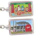 ( outlet ) 2024 год Okinawa кемпинг ограничение брелок для ключа ( carp & Acer. .. Okinawa город сотрудничество товары )