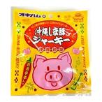 オキハム 沖縄しま豚ジャーキー 12g（小）　沖縄 お土産