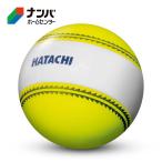 [ - tachi] граунд-гольф мяч навигация мяч желтый [BH3851-45]