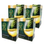 【6月〜10月 クール便�