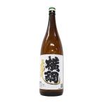 第69代横綱白鵬がプロ
