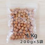 観葉植物 水耕栽培 生