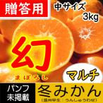 【三重御浜】幻の冬みかん　★贈答用　中サイズ　3キロ　★糖度13度以上!!冬みかん最高級の味わい　★甘い