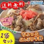 ヒガシマル ちょっとどんぶり 牛丼 味つけの素 2袋セット 1袋あたり1人前 400円ポッキリ